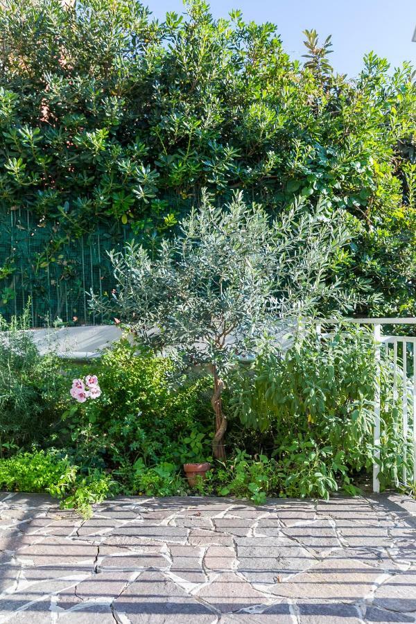 Appartement Casa Ceroni à Rome Extérieur photo